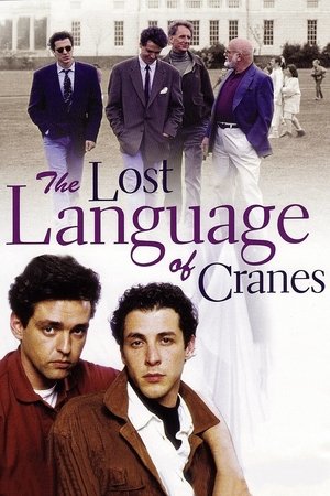 The Lost Language of Cranes (1992)