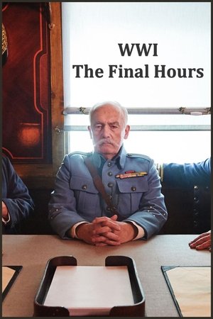 WW1: The Final Hours (2018)