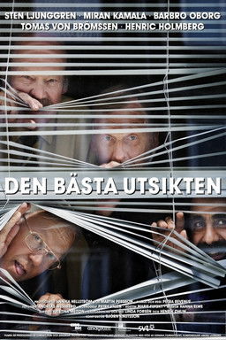 Den bästa utsikten (2011)