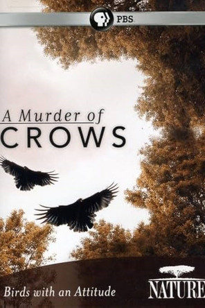 A Murder of Crows (2010)