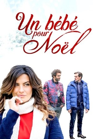 Un bébé pour Noël (2018)