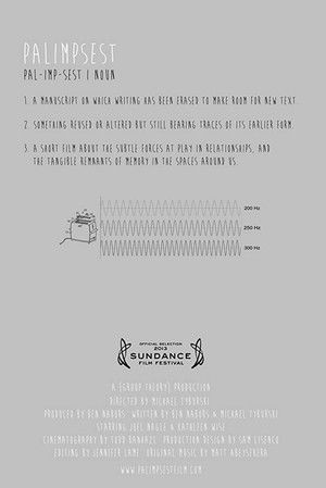 Palimpsest (2013)