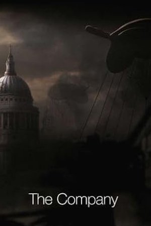The Company (2013)