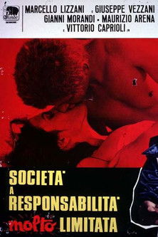 Società a responsabilità molto limitata (1973)