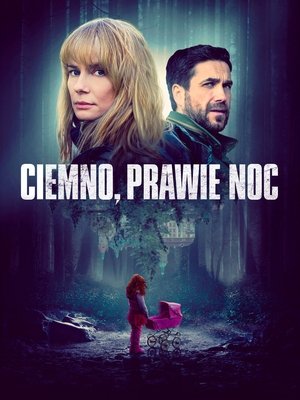 Ciemno, prawie noc (2019)