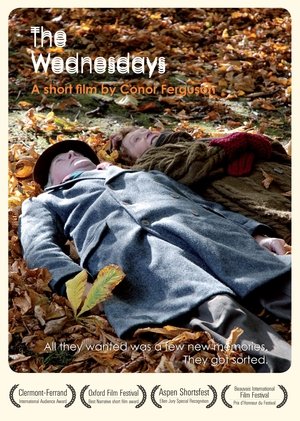 The Wednesdays (2007)