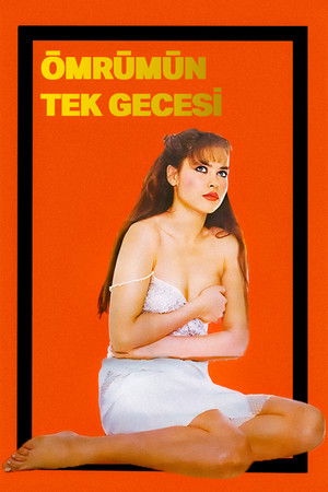Ömrümün Tek Gecesi (1984)