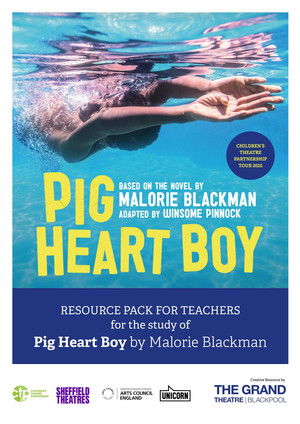 Pig Heart Boy (1999)