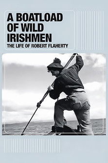 A Boatload of Wild Irishmen (2010)