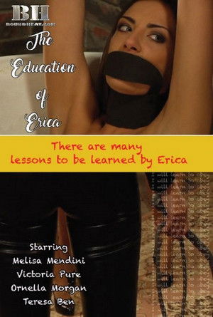The Education Of Erica (2017)