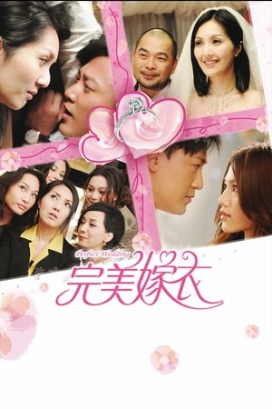抱抱俏佳人 (2010)