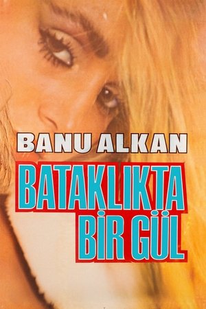 Bataklıkta Bir Gül (1983)