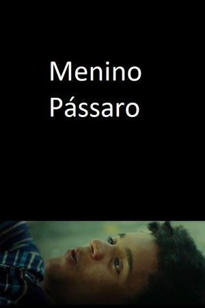 Menino Pássaro (2018)