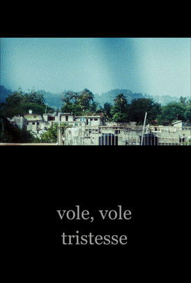 Vole, vole tristesse (2015)