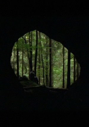 La Guitare de diamants (2009)