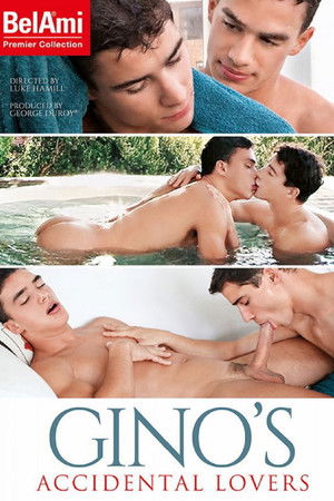 Gino's Accidental Lovers (2017)