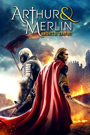 Arthur & Merlin: Knights of Camelot (2020)