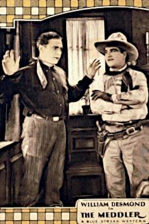The Meddler (1925)