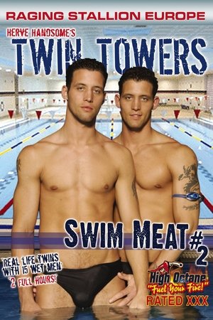 Swim Meat 2: Twin Towers (2006)