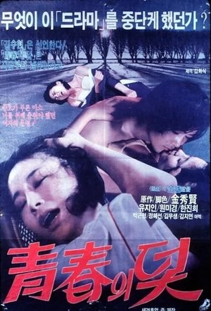 청춘의 덫 (1979)