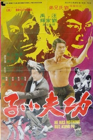 功夫小子 (1977)