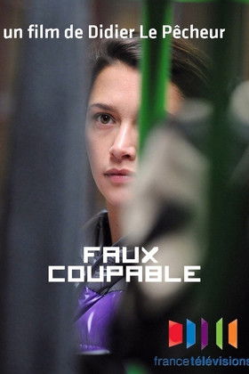 Faux coupable (2012)
