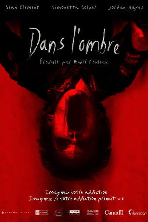 Dans l'ombre 3D (2011)