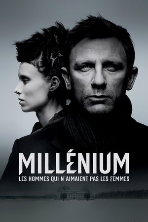 Millénium : Les Hommes qui n'aimaient pas les femmes (2011)