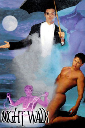 Night Walk: A Bedtime Story (1995)