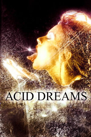 Acid Dreams (2003)