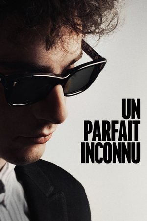 Un parfait inconnu (2024)