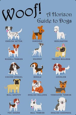 Woof! A Horizon Guide to Dogs (2012)