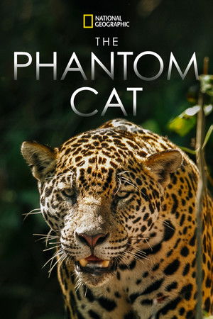 The Phantom Cat (2011)