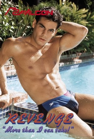 Revenge: More Than I Can Take (1990)