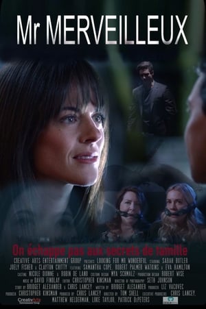 Mr Merveilleux (2020)