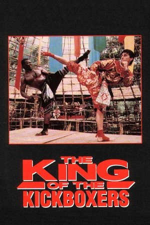Le Roi du Kickboxing (1990)