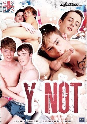 Y Not (2013)