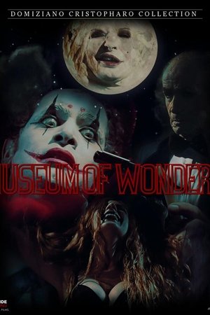 The Museum Of Wonders (2010)