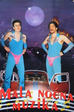 Мала ноћна музика (2002)