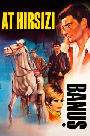 At Hırsızı: Banuş (1967)