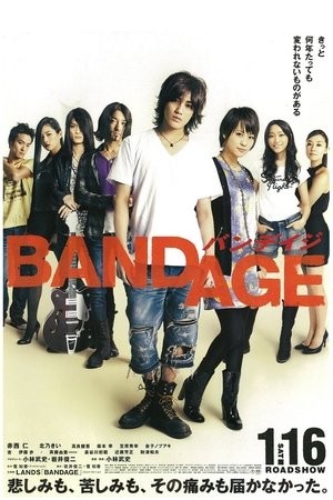 BANDAGE バンデイジ (2010)
