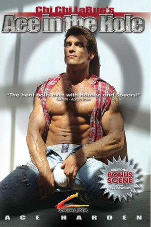 Ace in the Hole (1993)