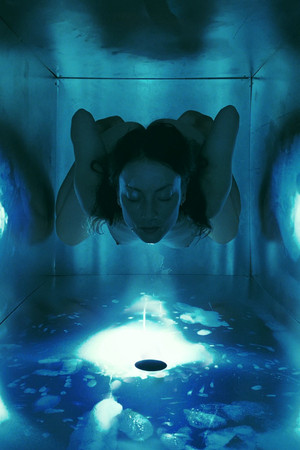 Orgone Theory (2020)