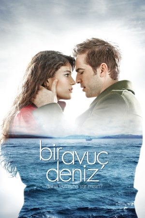 Bir Avuç Deniz (2011)