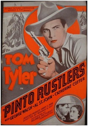 Pinto Rustlers (1936)