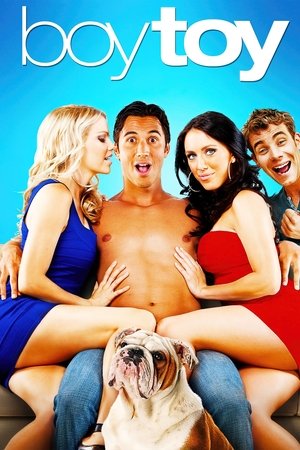 Boy Toy (2011)