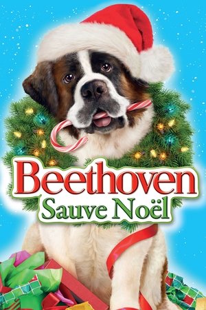 Beethoven sauve Noël (2011)