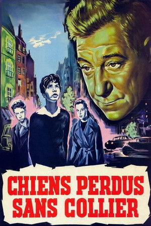 Chiens perdus sans collier (1955)