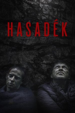Hasadék (2021)