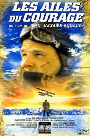 Guillaumet, les ailes du courage (1995)